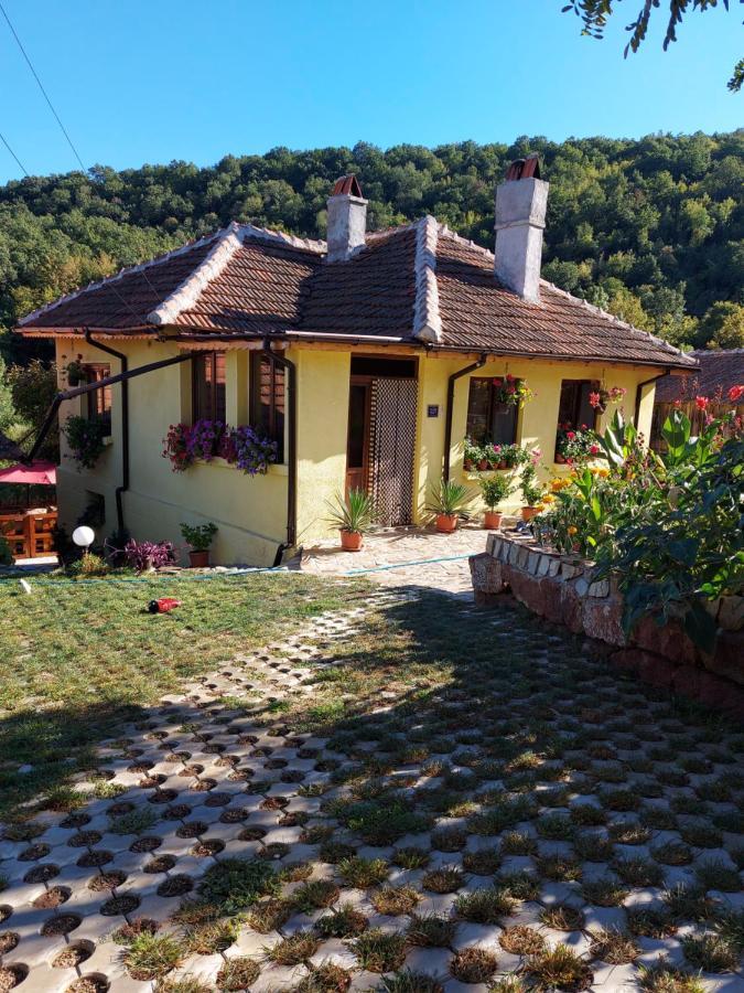 Guest House „Ivanovata house” Yanovets Buitenkant foto
