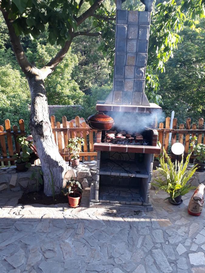 Guest House „Ivanovata house” Yanovets Buitenkant foto