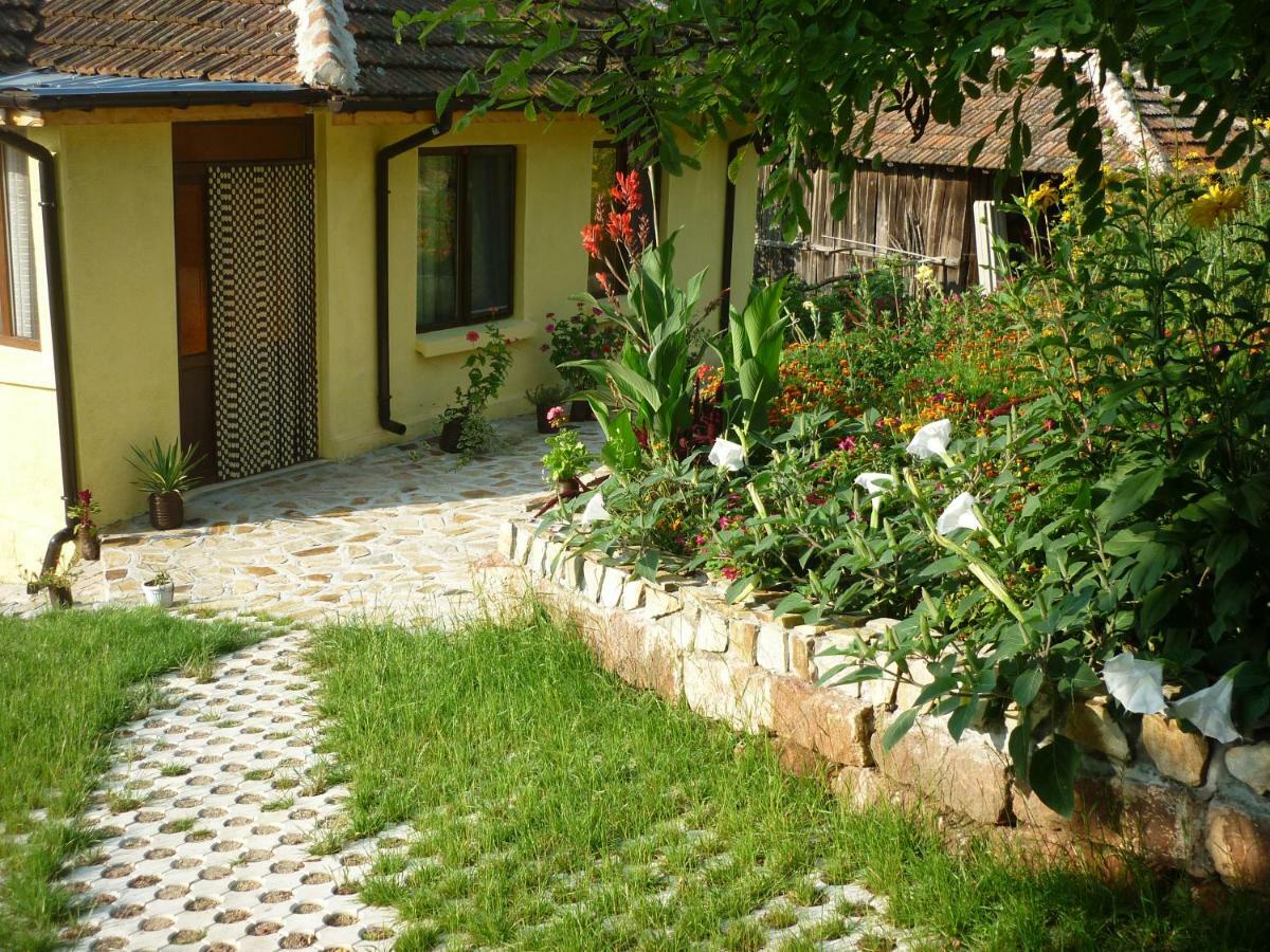 Guest House „Ivanovata house” Yanovets Buitenkant foto